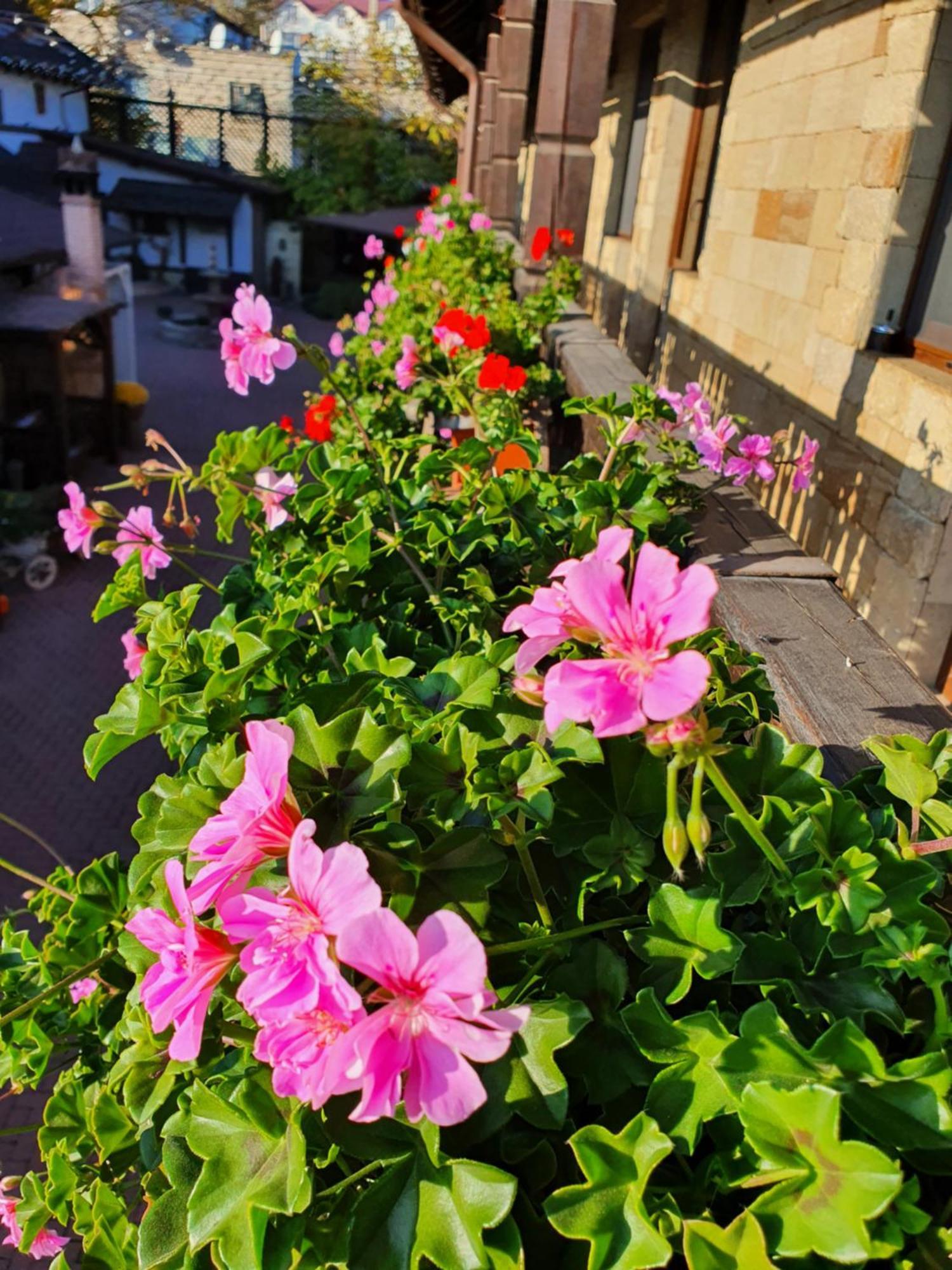 Curtea Domneasca Hotel Cricova Buitenkant foto